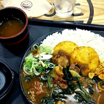 Korea_trip_fall_2016_food_curry